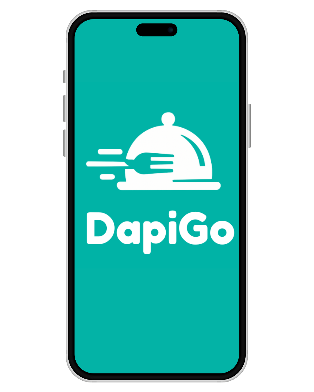DapiGo mobile interface preview
